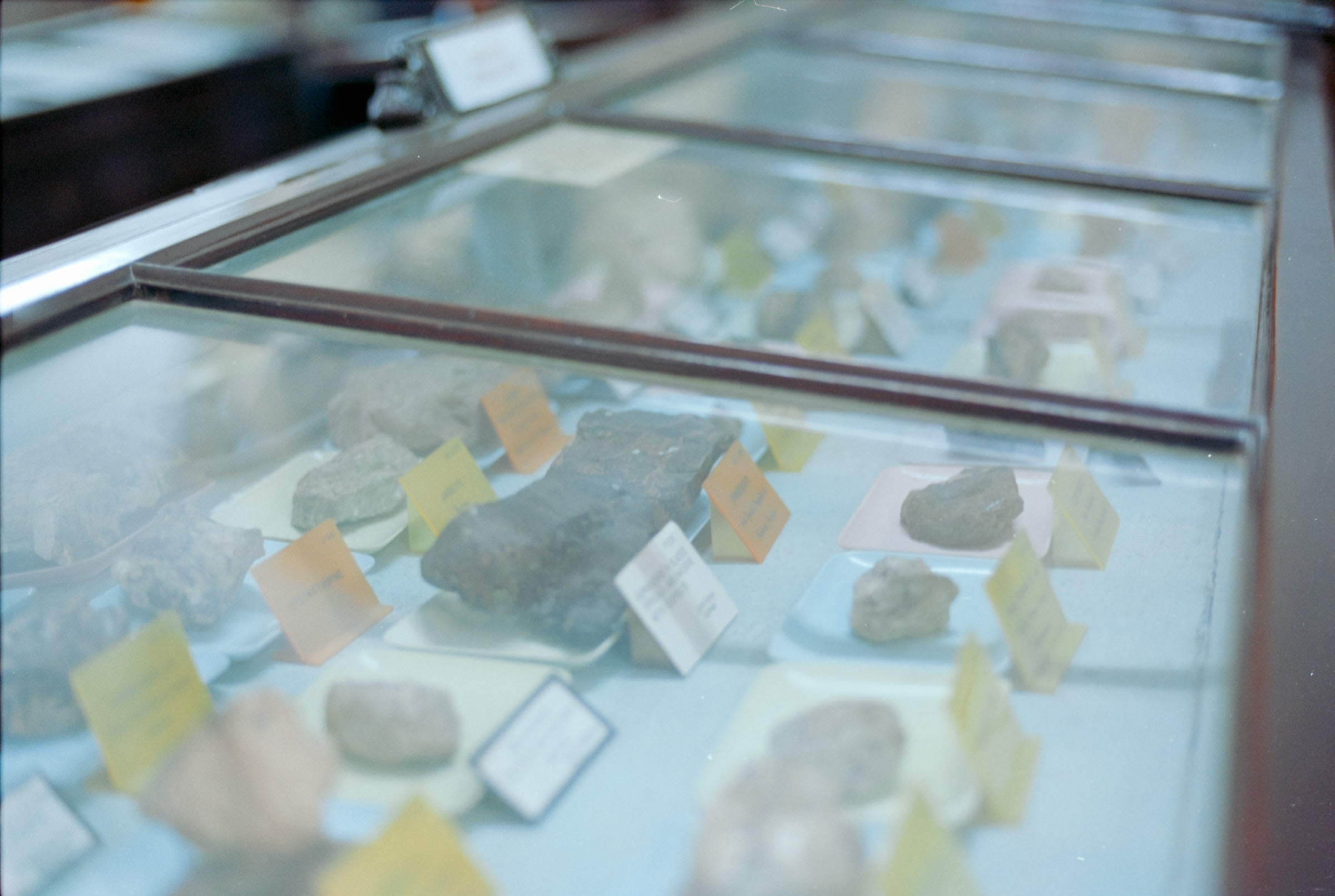 AHP film 2005 01 002 sc240825 img13 NLP